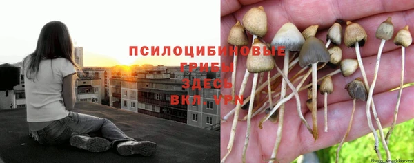 гашиш Алексеевка