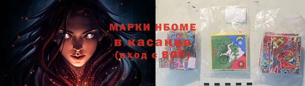 крисы Алексин