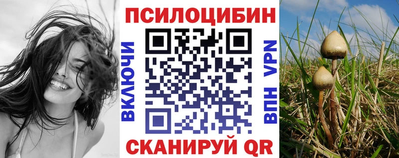 Галлюциногенные грибы GOLDEN TEACHER  Шебекино 