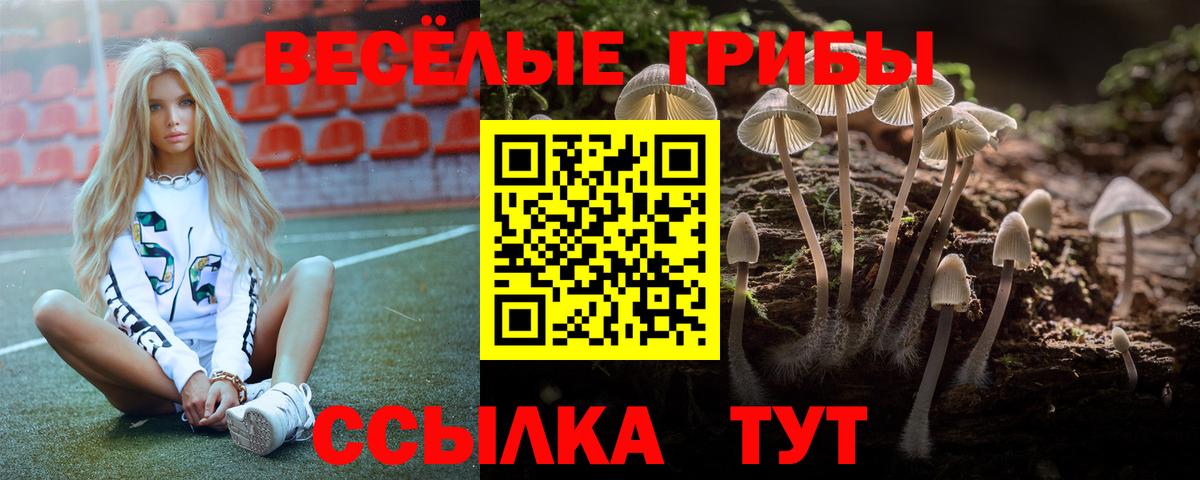 Шебекино  Псилоцибиновые грибы MAGIC MUSHROOMS  Вход с VPN  Галлюциногенные грибы мухоморы 